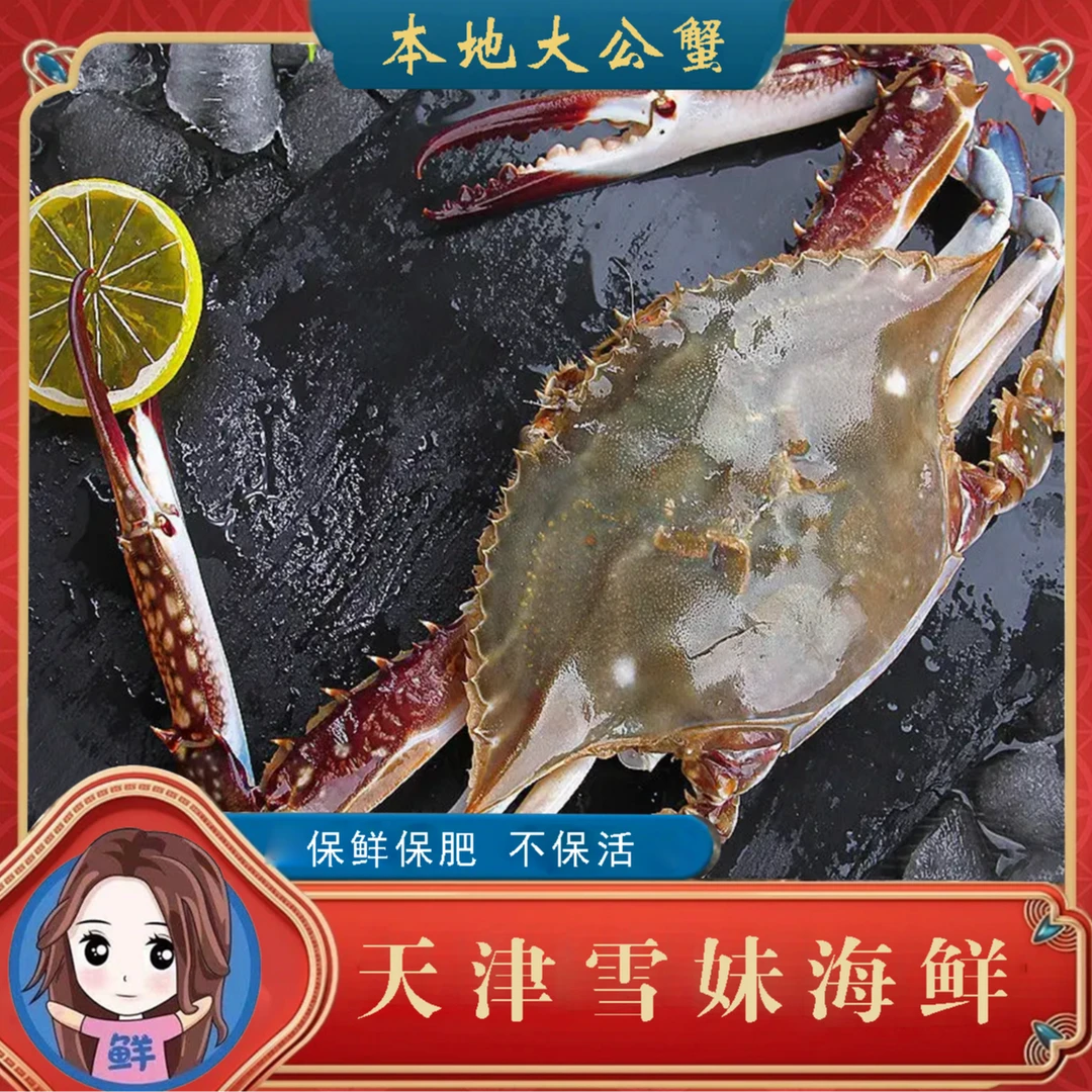 【雪妹海鲜】公蟹2-5斤 天津雪妹海鲜 梭子蟹