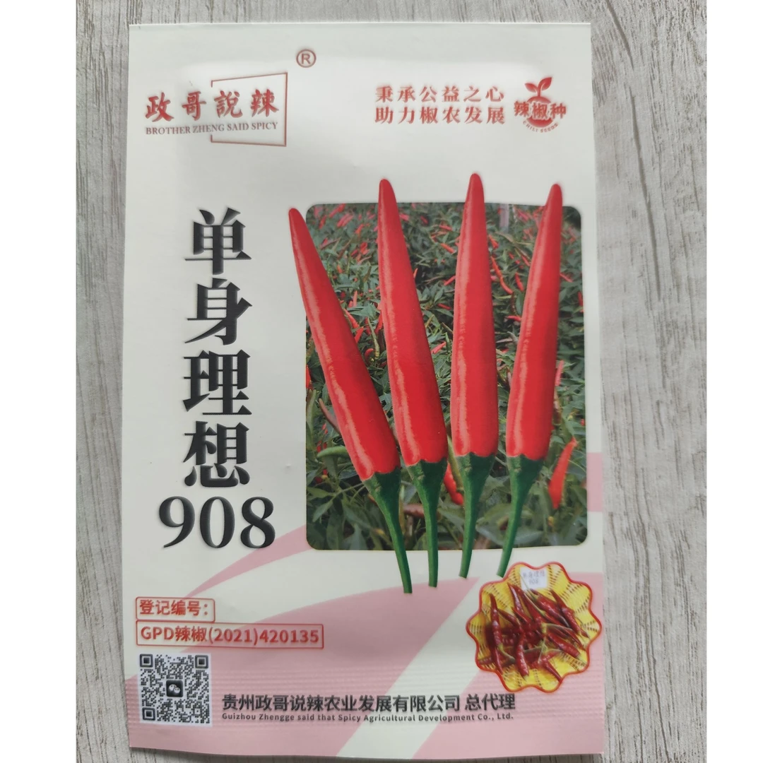 7克/1200+粒 政哥说辣艳椒908种子 抗病力强果型大抗倒伏