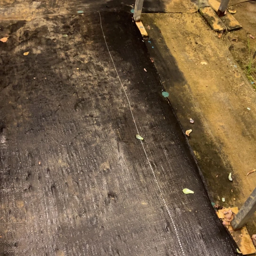 露养老桩丛林物流费