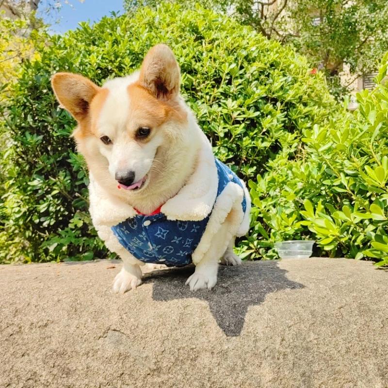 宠物狗衣服秋冬款加厚牛仔保暖马甲中大型犬金毛柯基狗狗衣服