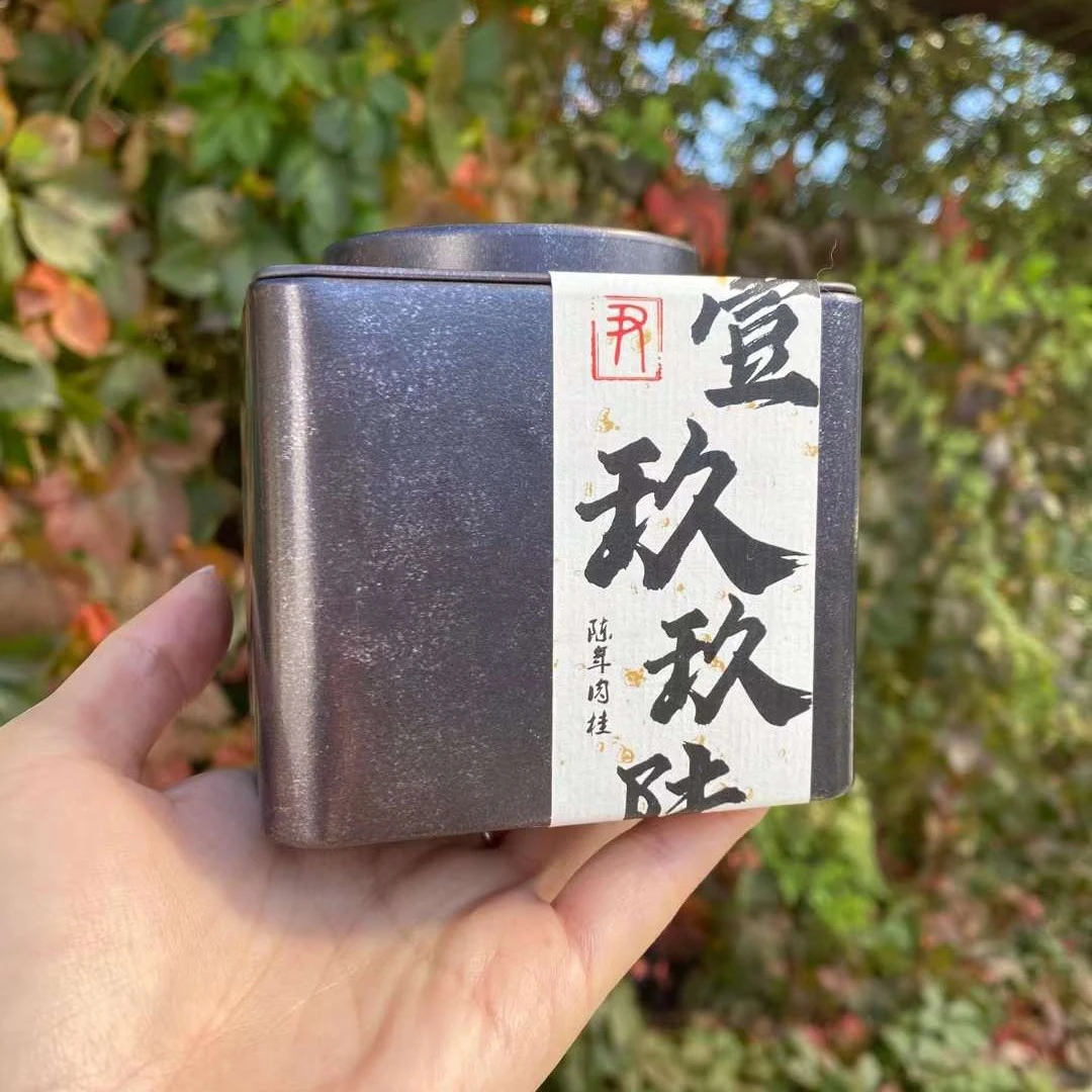 老尹家的茶【一九九六】陈年肉桂