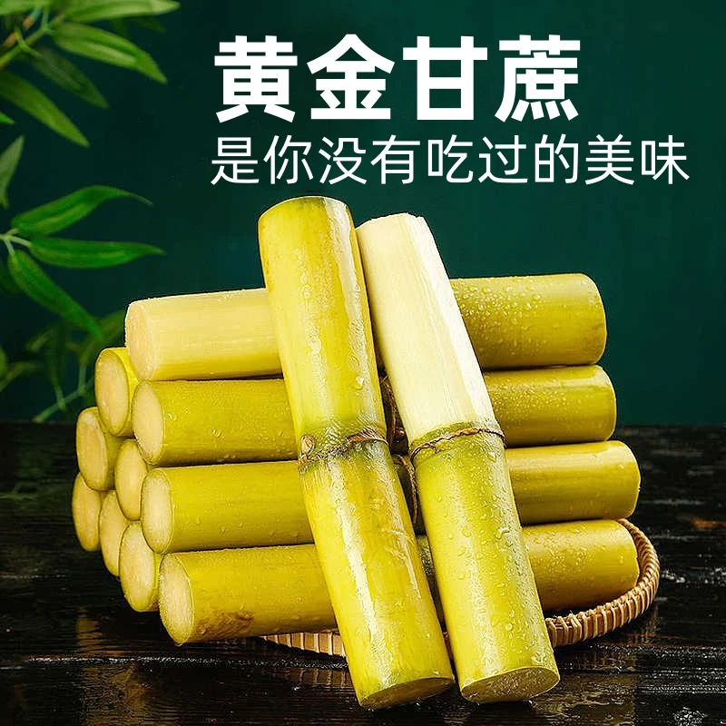 【黄金甘蔗】正宗广西黄皮甘蔗新鲜水果当季脆甜黄金甘蔗包邮