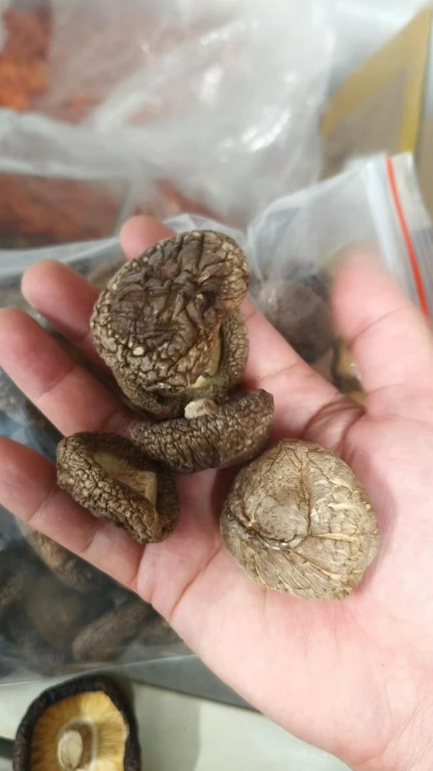 2024新菇，本地香菇，中号香菇