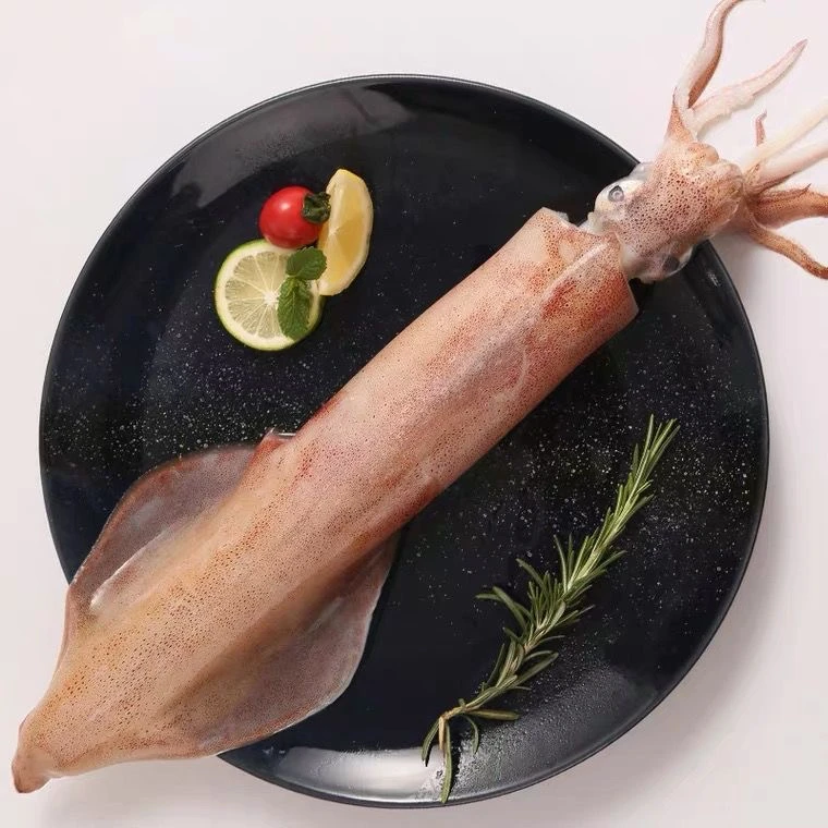 大管火箭鱿鱼新鲜超大鱿鱼新鲜包脆无沙 现称现拍