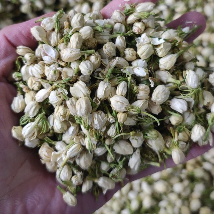 【到手2两】农家干茉莉花 干茉莉花苞 新货花草茉莉花