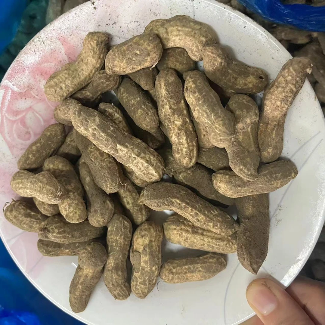 东台新鲜带壳花生 粉皮花生 顺丰包邮