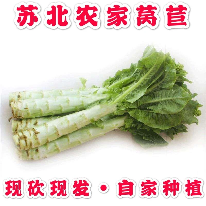 顺丰包邮农村自种植新鲜莴苣莴笋新鲜绿色蔬菜苏北农家菜绿皮莴苣