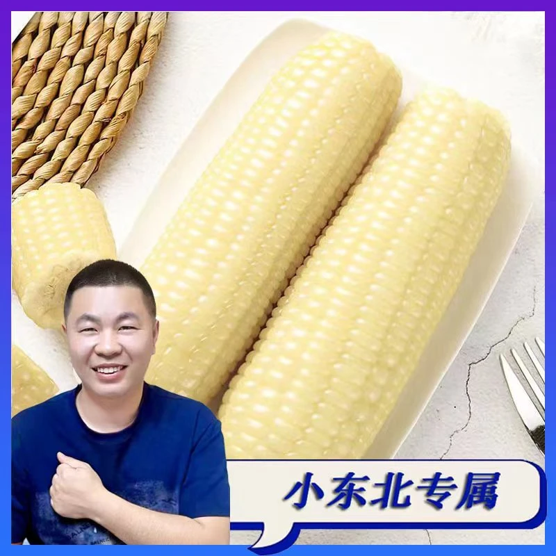 东北保鲜白糯玉米饱满香甜软糯拍8送2共10支试吃两支一箱5斤F