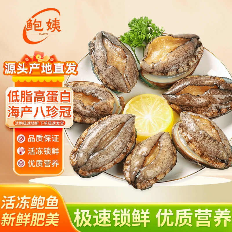 东山岛速冻鲍鱼6-8头鲍6-8cm海鲜水产速冻锁鲜海捕大鲍鱼