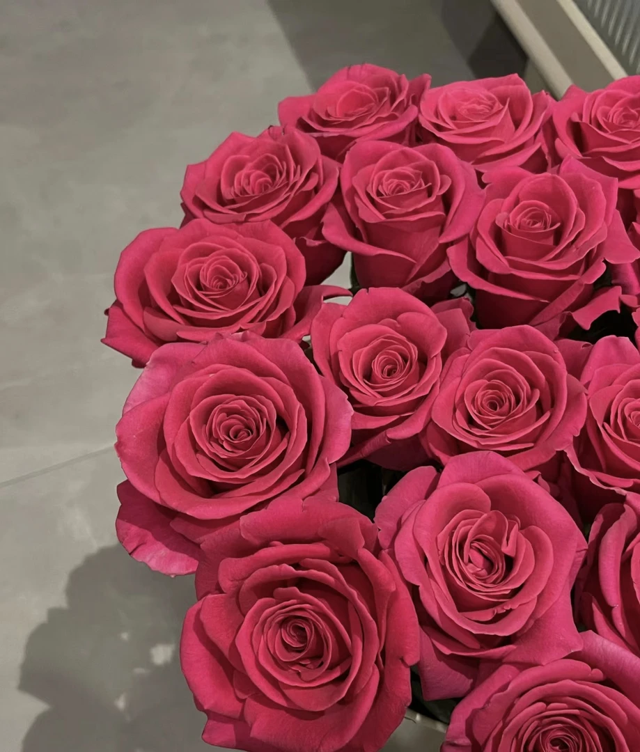 【梦金鹏弗洛伊德玫瑰】同一地址2单升级顺丰冷链+送配草1扎