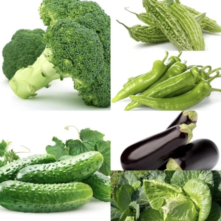 【云货甄选】茄子通用链接A