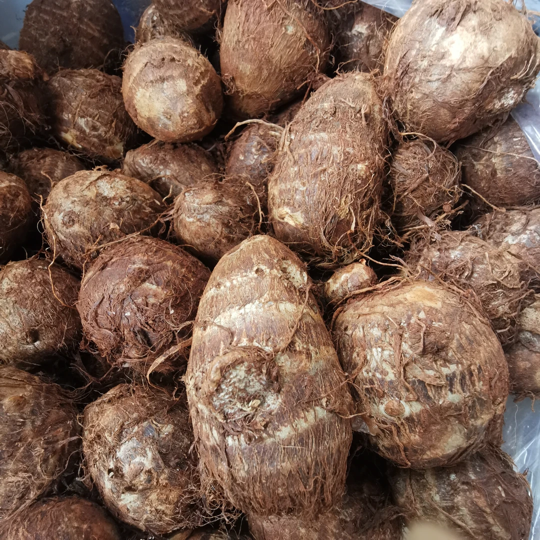 《云货臻选》农家芋头