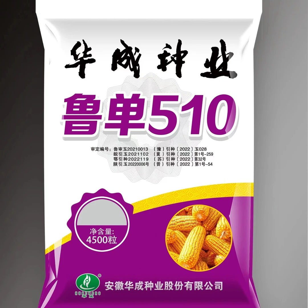 鲁单510：高产夏玉米种子，高抗锈病，高抗倒伏，耐密植，
