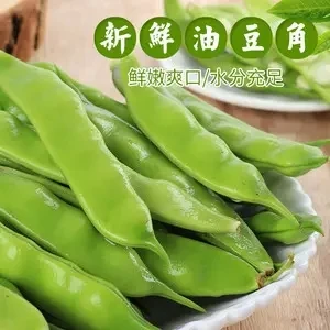 东北自家新开园油豆角
