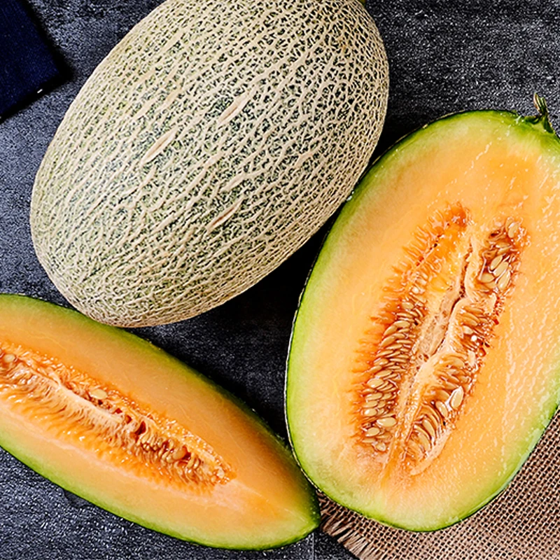 图石果记海南哈密瓜5斤新鲜应季沙地蜜瓜西州蜜大甜瓜时令水果