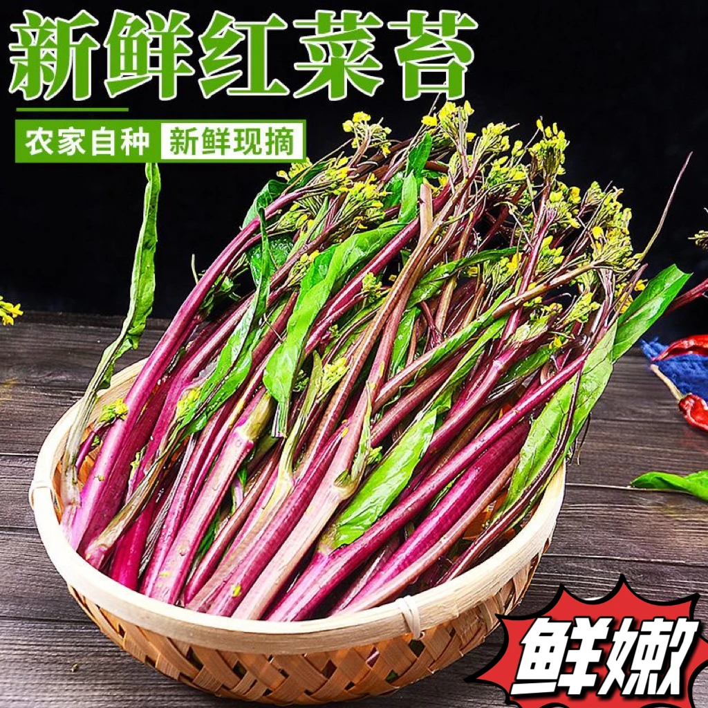 【顺丰包邮】新鲜红菜苔湖北农家红菜苔洪山菜苔紫菜苔红菜心红油菜