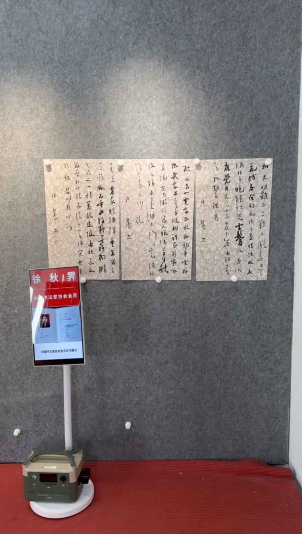 【闪购商品】绘画pmw中书协徐秋霁书法作品6