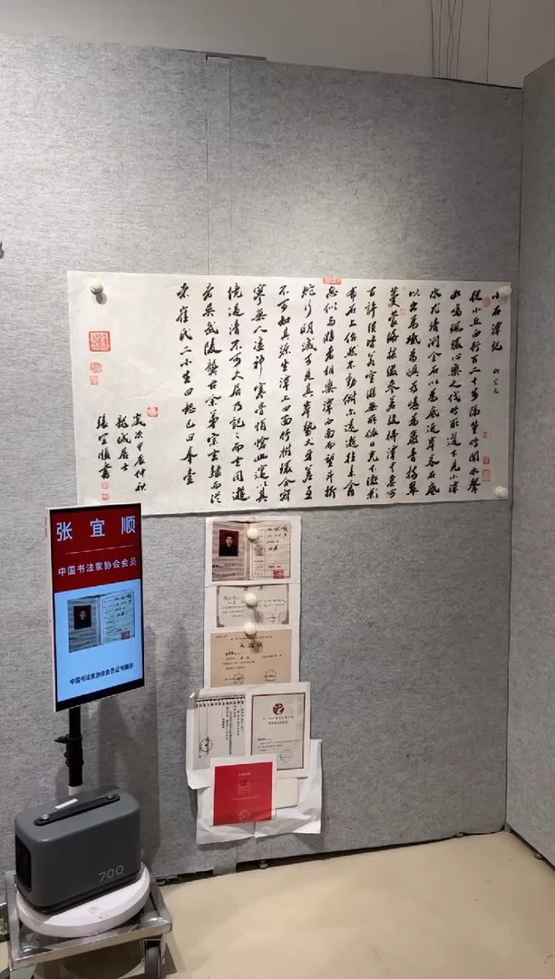 【闪购商品】书法sf书法家 张宜顺书法作品5