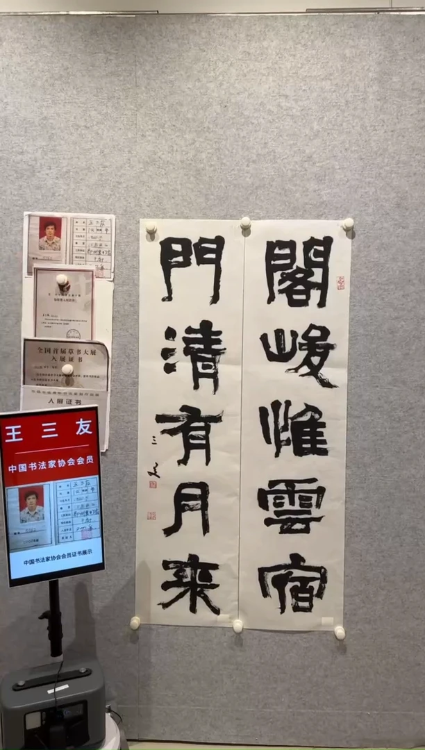 【闪购商品】书法sf中书协王三友4