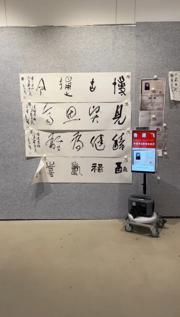 【闪购商品】书法sf中书协鲁建飞10