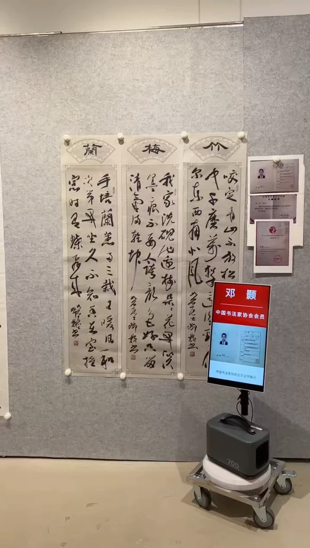 【闪购商品】书法sf中书协邓颢老师7