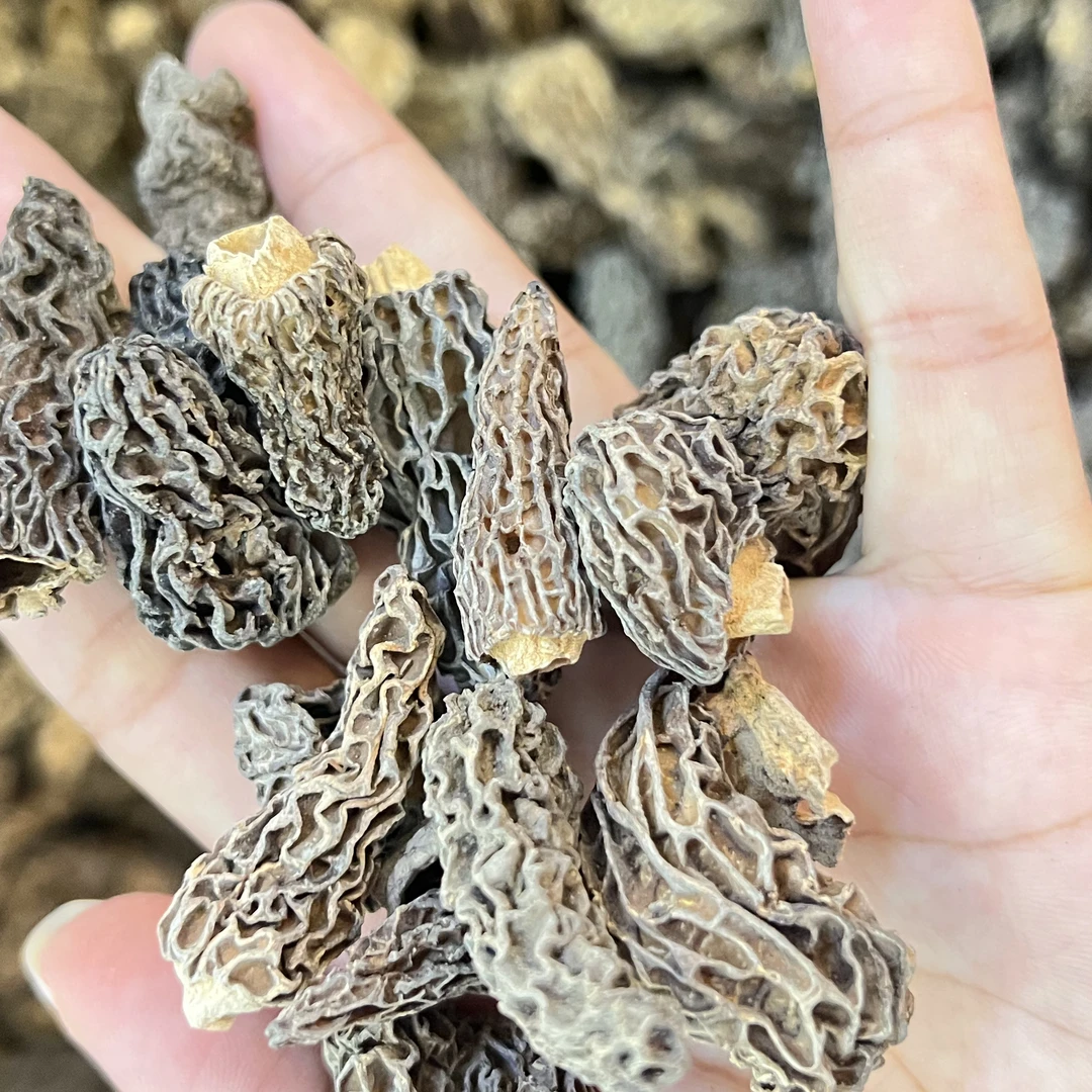 【优百裕甄选】羊肚菌原生态嘢靓靓货 恩姐精选