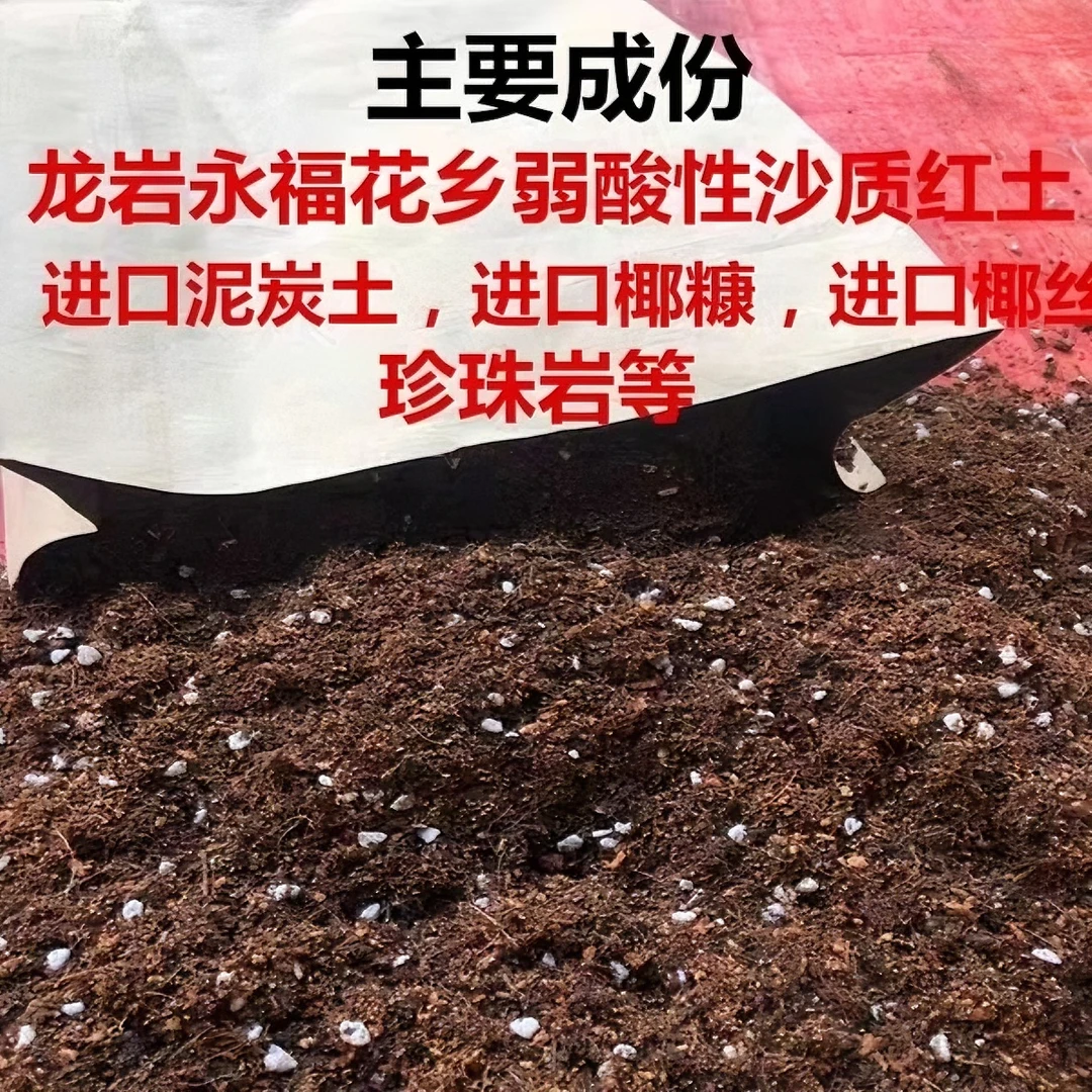凡事美好茶花专用土 茶花喜欢偏酸性、疏松透气,pH值在5至6.5之间