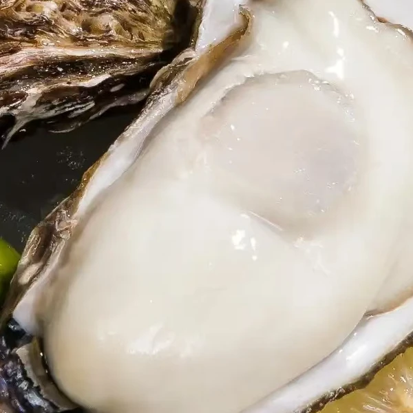 精品乳山生蚝4+一只