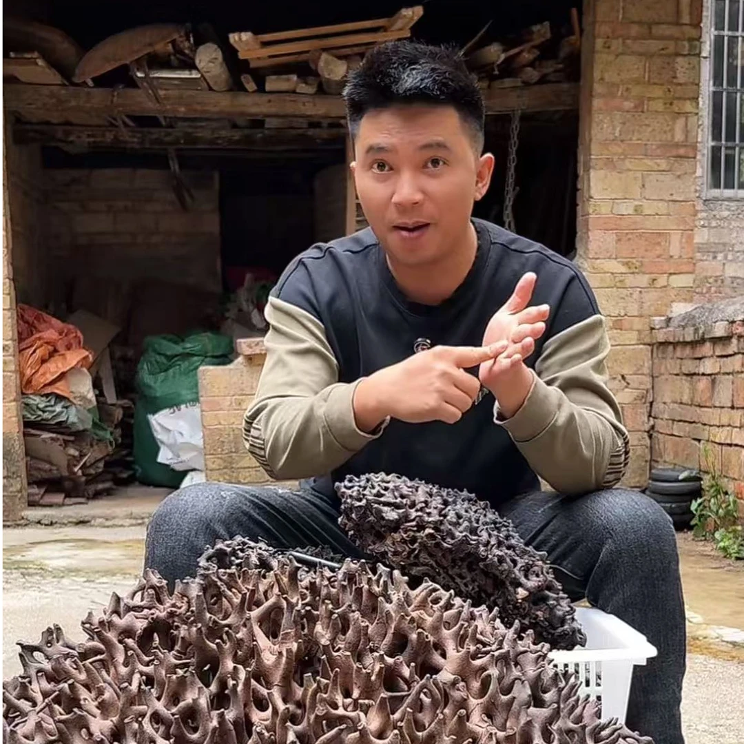云南深山现挖现发蚁巢500克顺丰包邮