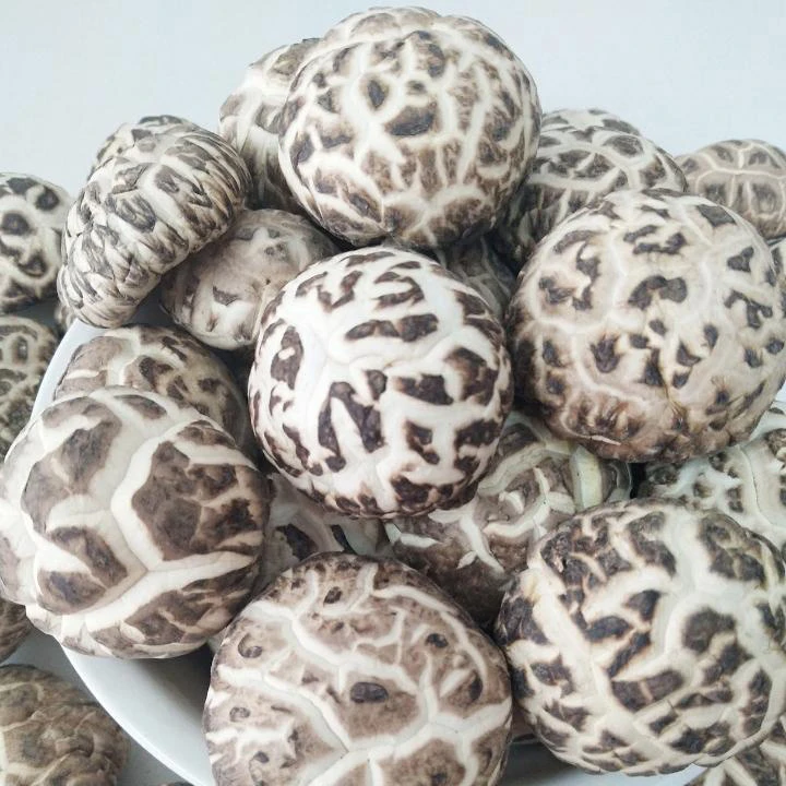 【3CM】仿木白花菇土特产煲汤焖250g