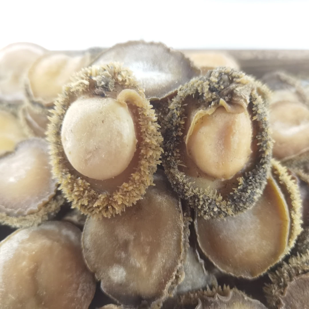鲍鱼 南非干鲍30-35头青鱼 精选海味干货 250g