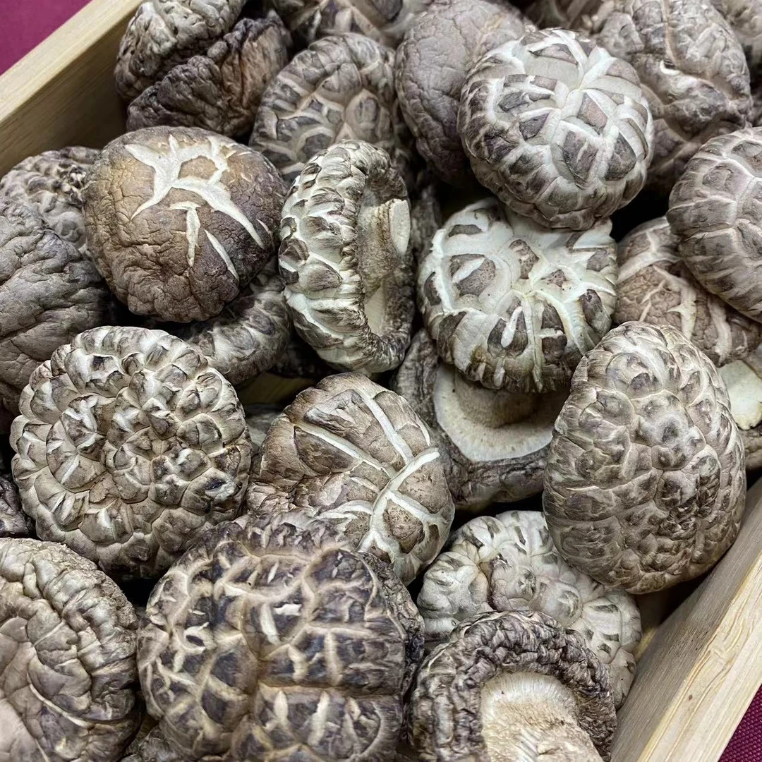 【送礼自用】花菇好香出口品质剪脚 500g
