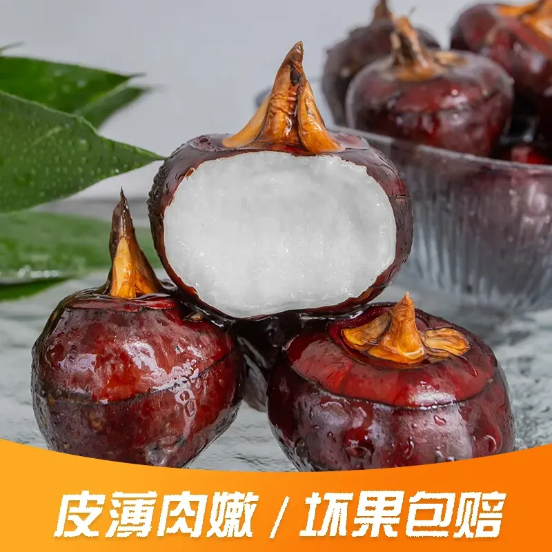 正宗广西荔浦马蹄荸荠清甜爽口水果蔬菜脆嫩无渣多汁煲汤炒菜必备