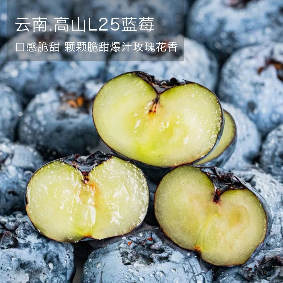 【顺丰空运包邮】云南高山蓝莓L25脆甜多汁香浓有花香新鲜采摘盒装