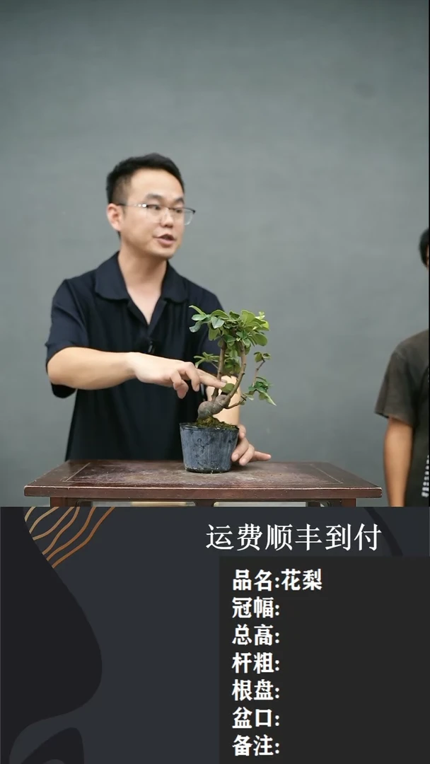 【闪购商品】88