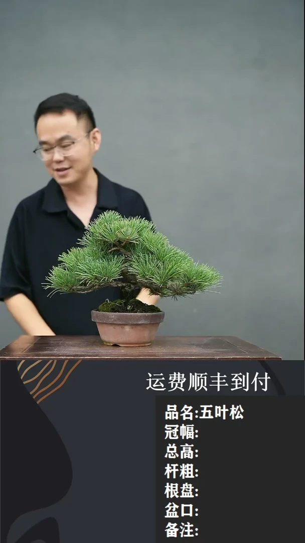 【闪购商品】33
