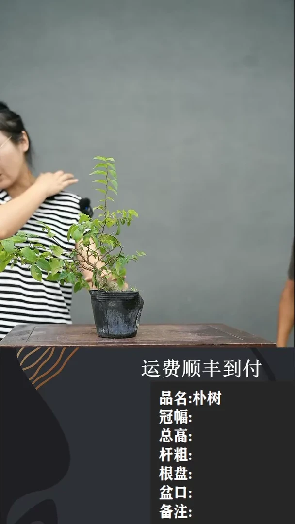 【闪购商品】62