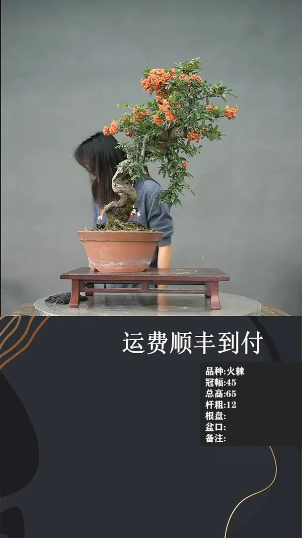 【闪购商品】112