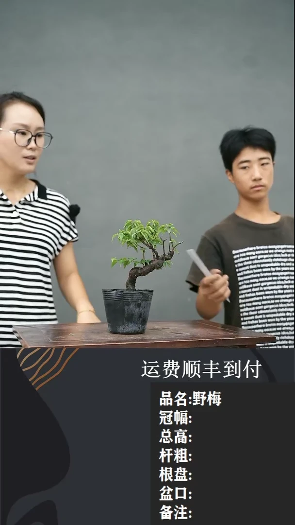 【闪购商品】64