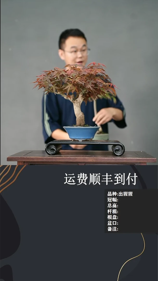 【闪购商品】24