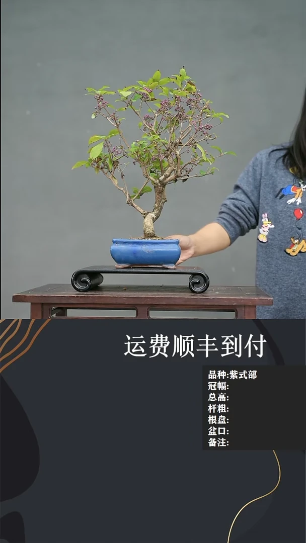 【闪购商品】111