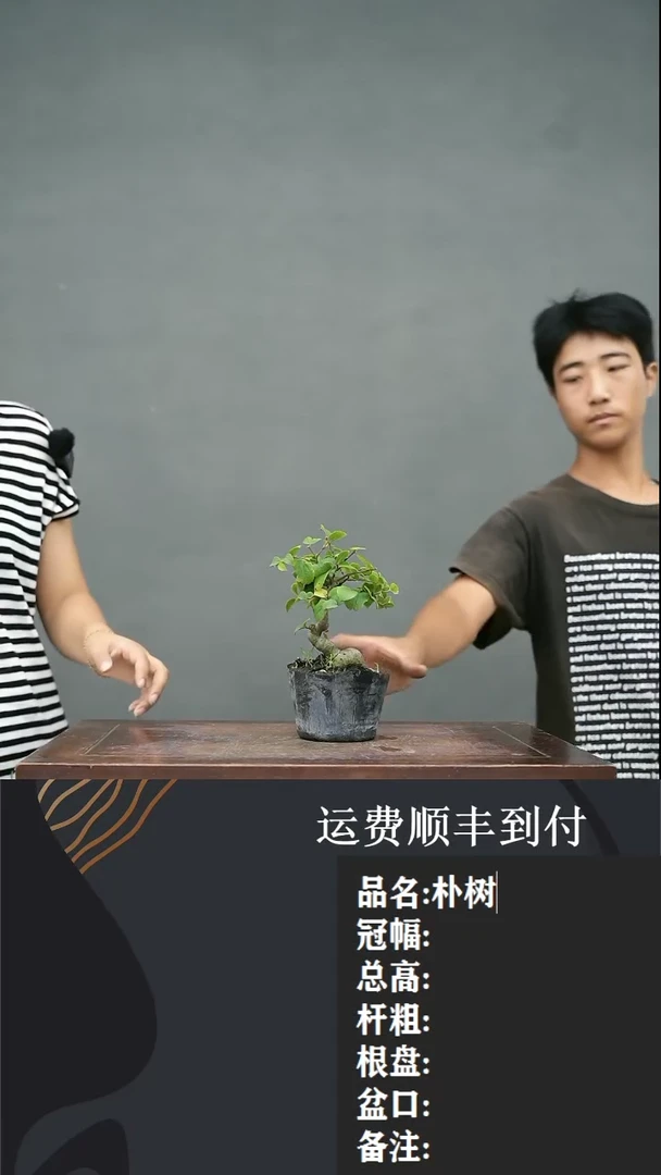 【闪购商品】63