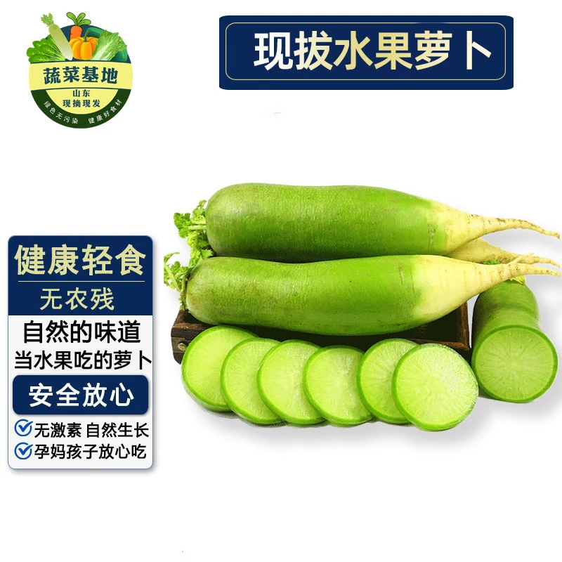 【正宗潍坊水果萝】2024现拔现发潍县萝卜即食甜脆水分足老少皆宜