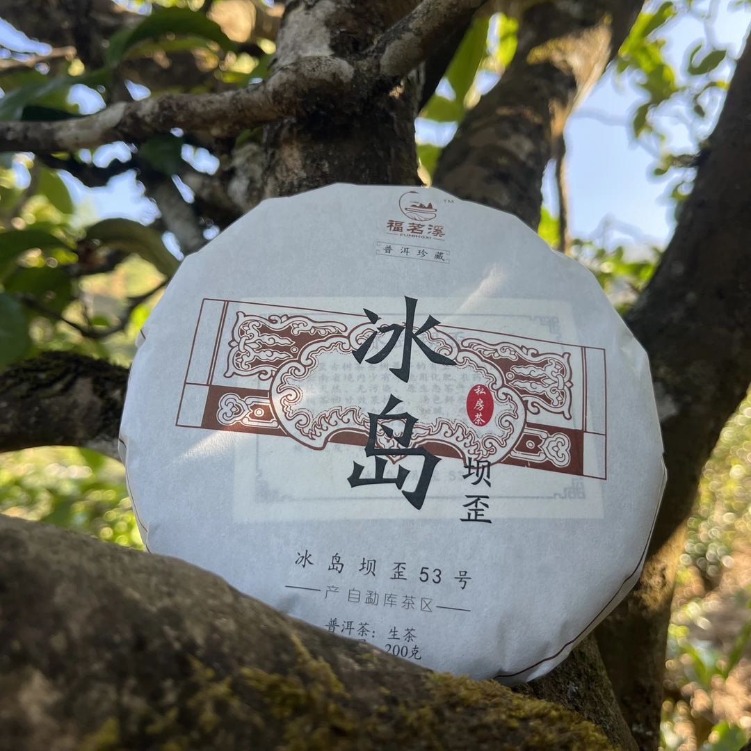 2021年 冰岛坝歪 大树春茶(200克)