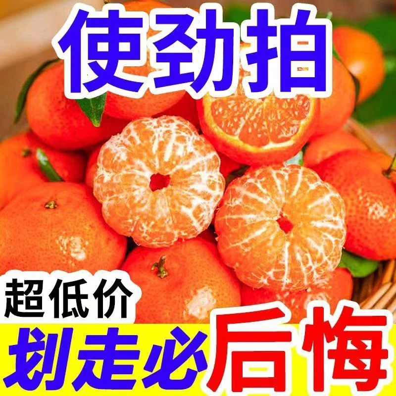 广西正宗砂糖桔新鲜小橘子成熟橙红甜蜜细嫩爽口香甜鲜嫩肉质多汁