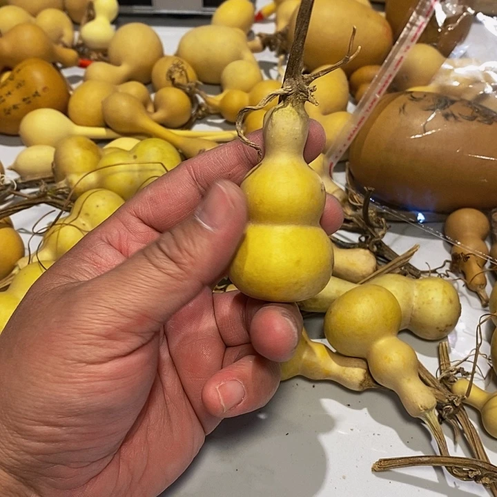 麻**J精品葫芦手把葫芦43