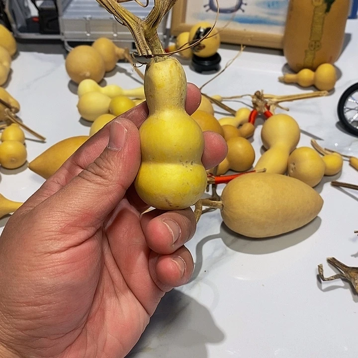 嘉*精品葫芦手把葫芦9
