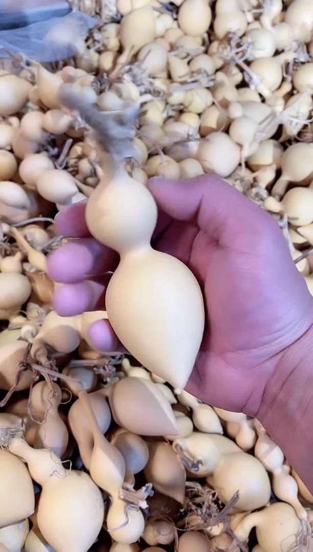 【闪购商品】天然葫芦天然葫芦52