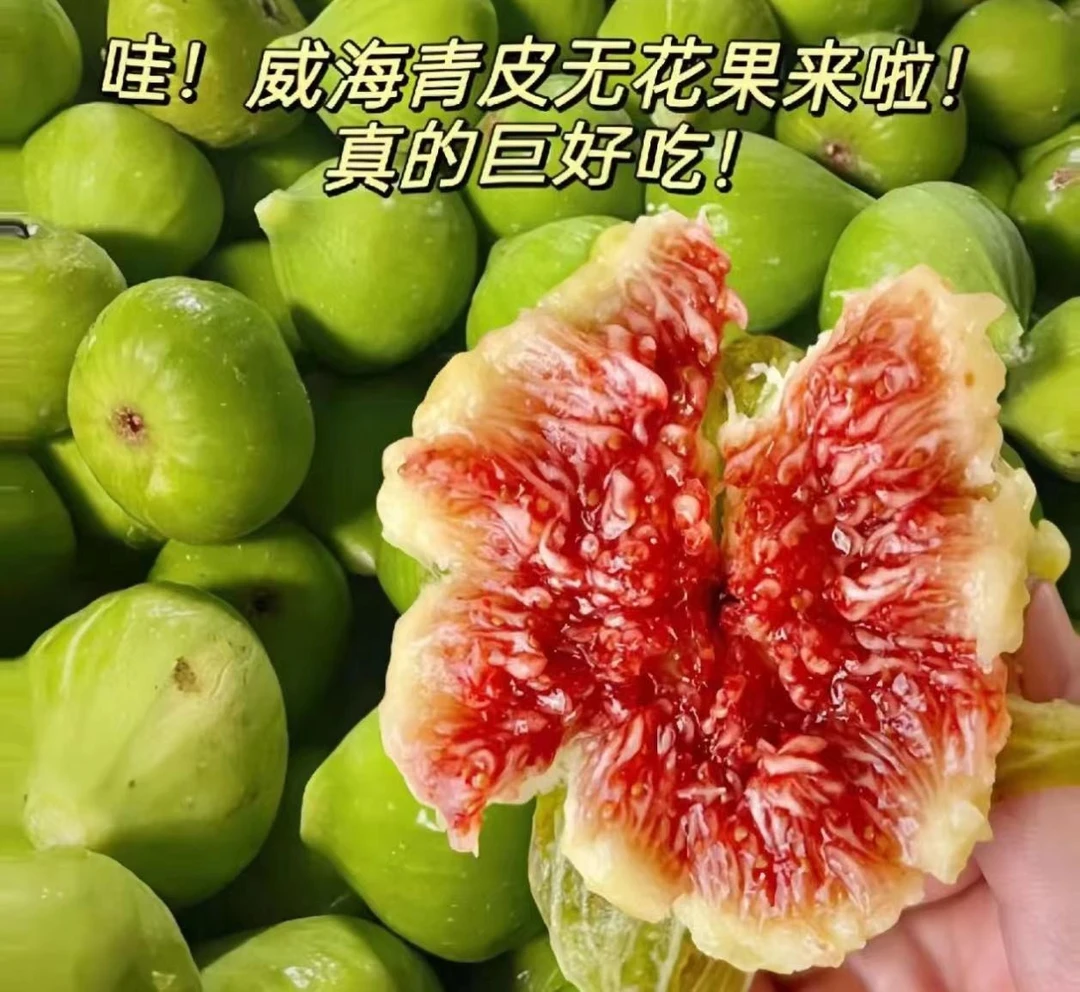青皮无花果一斤