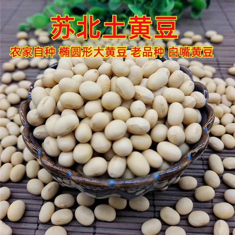 农家自种黄豆5斤苏北大白皮白嘴土黄豆椭圆形老品种黄豆出浆率高